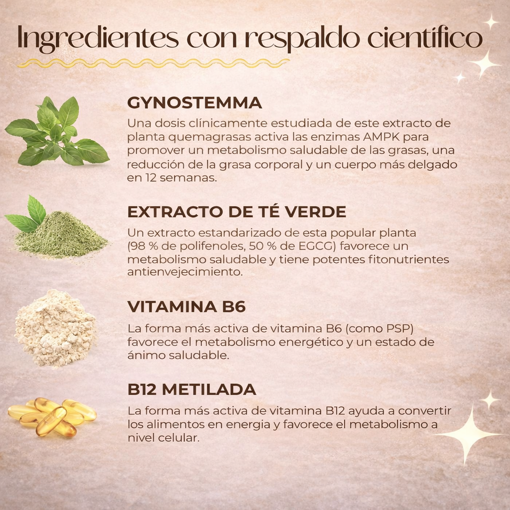 🔥LEMME BURN Original — Activa tu metabolismo y transforma tu cuerpo 💜